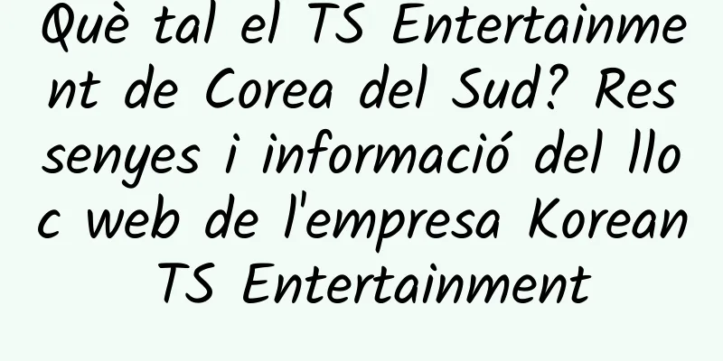 Què tal el TS Entertainment de Corea del Sud? Ressenyes i informació del lloc web de l'empresa Korean TS Entertainment