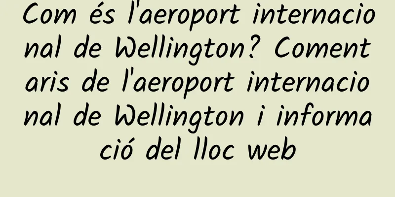 Com és l'aeroport internacional de Wellington? Comentaris de l'aeroport internacional de Wellington i informació del lloc web