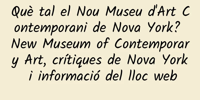 Què tal el Nou Museu d'Art Contemporani de Nova York? New Museum of Contemporary Art, crítiques de Nova York i informació del lloc web