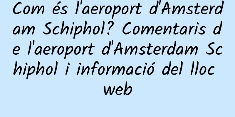 Com és l'aeroport d'Amsterdam Schiphol? Comentaris de l'aeroport d'Amsterdam Schiphol i informació del lloc web