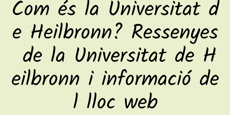 Com és la Universitat de Heilbronn? Ressenyes de la Universitat de Heilbronn i informació del lloc web