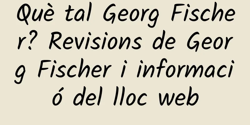 Què tal Georg Fischer? Revisions de Georg Fischer i informació del lloc web