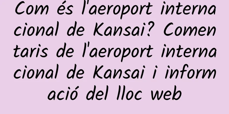 Com és l'aeroport internacional de Kansai? Comentaris de l'aeroport internacional de Kansai i informació del lloc web