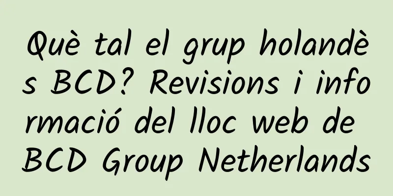 Què tal el grup holandès BCD? Revisions i informació del lloc web de BCD Group Netherlands