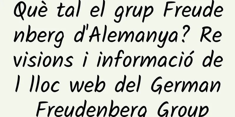 Què tal el grup Freudenberg d'Alemanya? Revisions i informació del lloc web del German Freudenberg Group