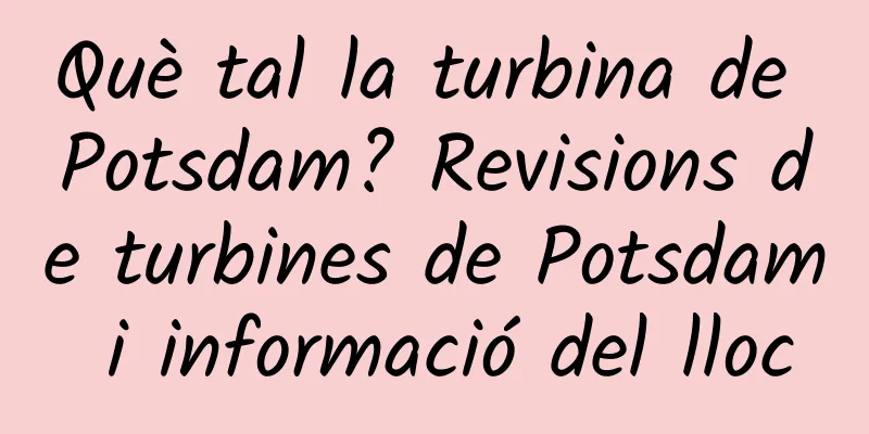 Què tal la turbina de Potsdam? Revisions de turbines de Potsdam i informació del lloc