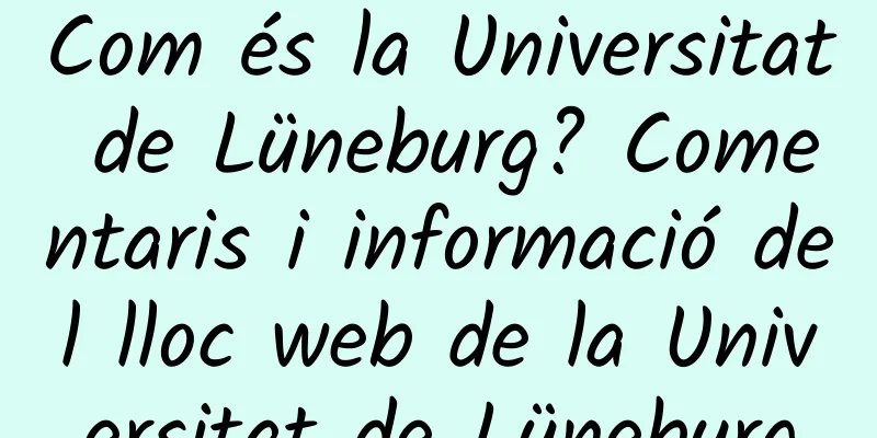 Com és la Universitat de Lüneburg? Comentaris i informació del lloc web de la Universitat de Lüneburg