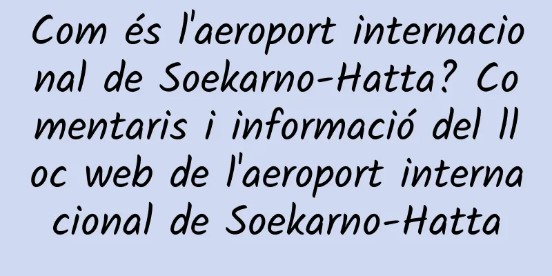Com és l'aeroport internacional de Soekarno-Hatta? Comentaris i informació del lloc web de l'aeroport internacional de Soekarno-Hatta