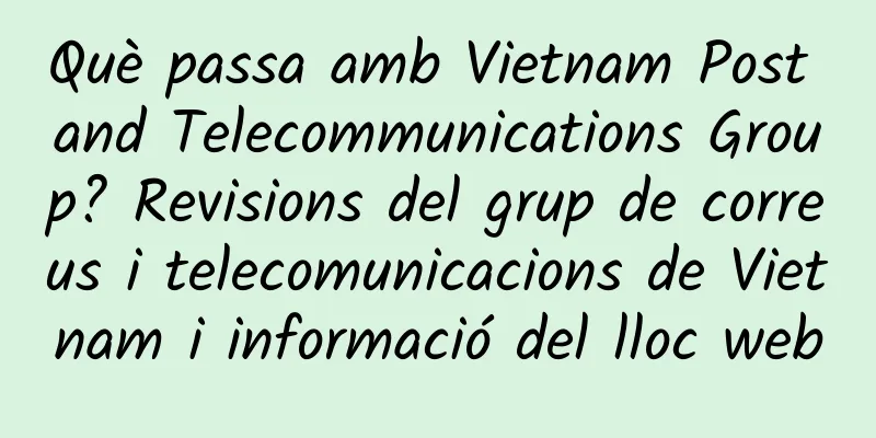 Què passa amb Vietnam Post and Telecommunications Group? Revisions del grup de correus i telecomunicacions de Vietnam i informació del lloc web