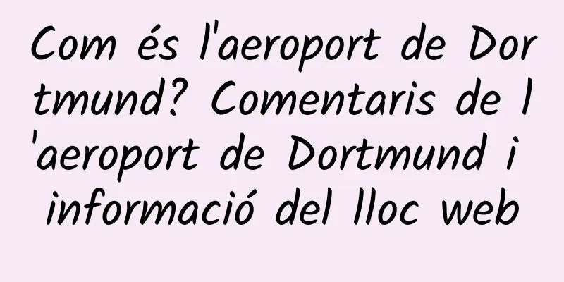 Com és l'aeroport de Dortmund? Comentaris de l'aeroport de Dortmund i informació del lloc web