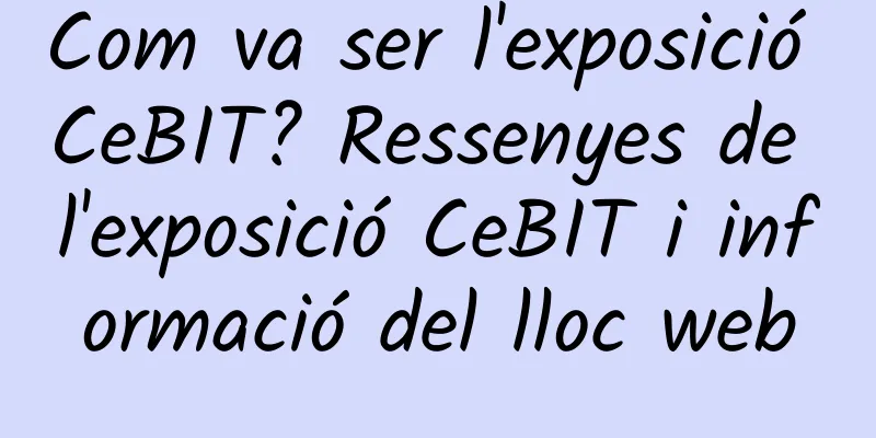 Com va ser l'exposició CeBIT? Ressenyes de l'exposició CeBIT i informació del lloc web