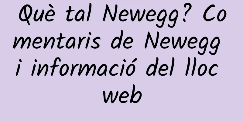 Què tal Newegg? Comentaris de Newegg i informació del lloc web