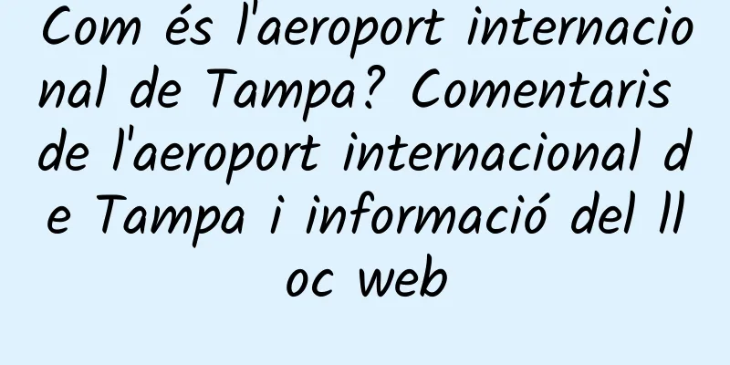 Com és l'aeroport internacional de Tampa? Comentaris de l'aeroport internacional de Tampa i informació del lloc web