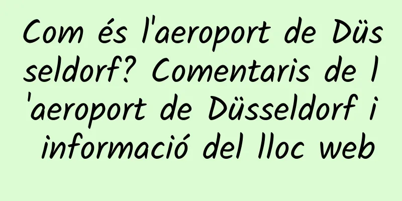 Com és l'aeroport de Düsseldorf? Comentaris de l'aeroport de Düsseldorf i informació del lloc web