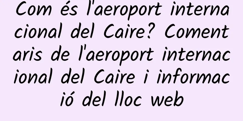 Com és l'aeroport internacional del Caire? Comentaris de l'aeroport internacional del Caire i informació del lloc web