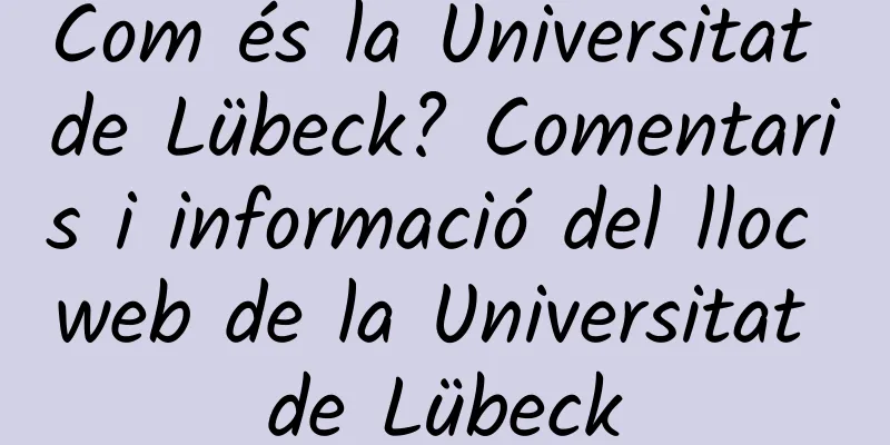 Com és la Universitat de Lübeck? Comentaris i informació del lloc web de la Universitat de Lübeck