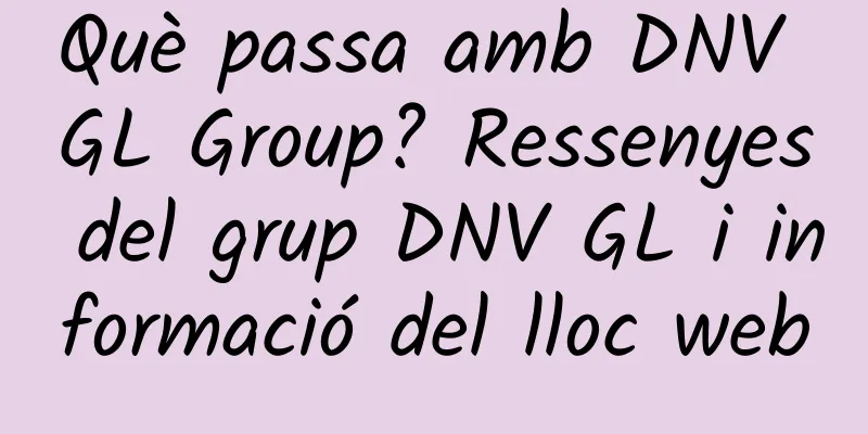 Què passa amb DNV GL Group? Ressenyes del grup DNV GL i informació del lloc web