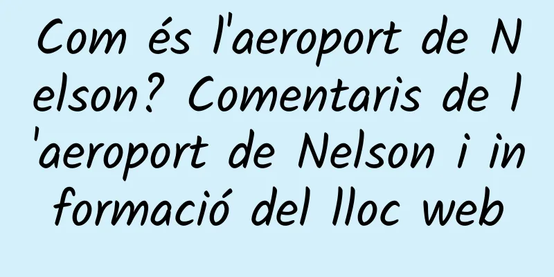 Com és l'aeroport de Nelson? Comentaris de l'aeroport de Nelson i informació del lloc web