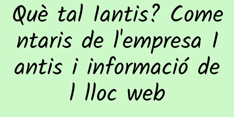 Què tal Iantis? Comentaris de l'empresa Iantis i informació del lloc web