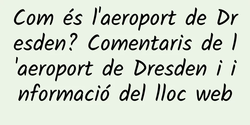 Com és l'aeroport de Dresden? Comentaris de l'aeroport de Dresden i informació del lloc web