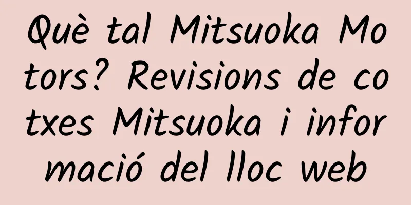 Què tal Mitsuoka Motors? Revisions de cotxes Mitsuoka i informació del lloc web